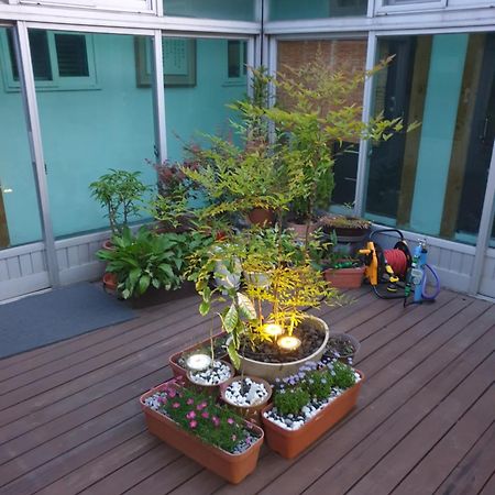 Dal Garam Guesthouse Kangrung Kültér fotó